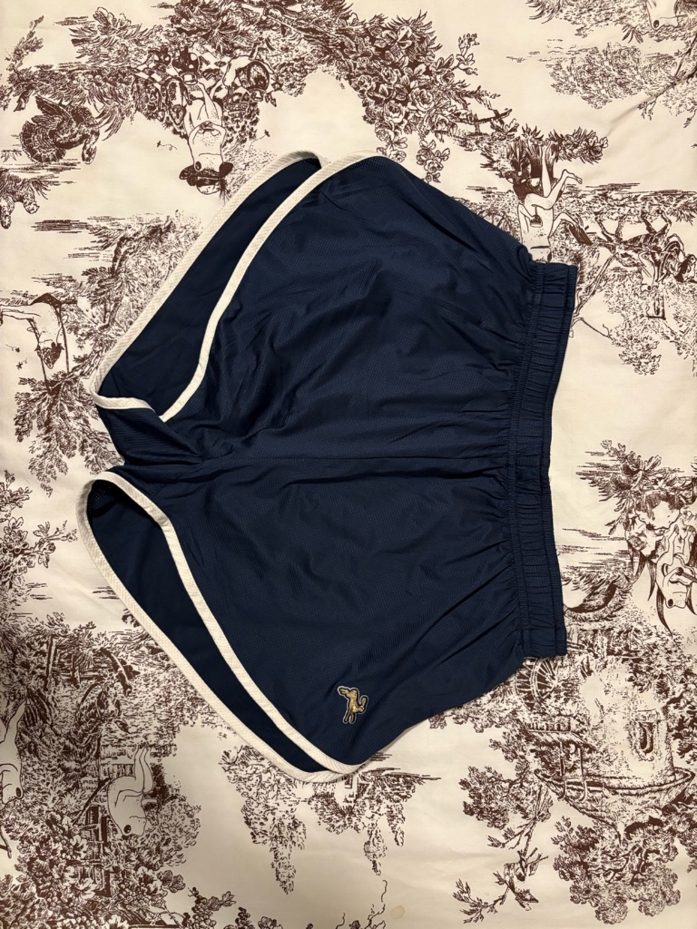 Twilight Split Shorts